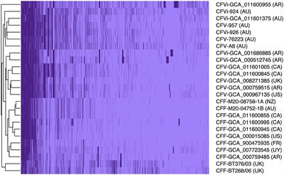 Whole-genome comparison using complete genomes from Campylobacter fetus strains revealed single nucleotide polymorphisms on non-genomic islands for subspecies differentiation